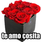 Te amo çosita