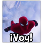 ¡Voy!