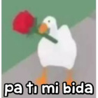 Pa tí mi bida