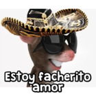 Estoy facherito amor