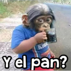 Y el pan?