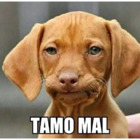 TAMO MAL