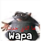 Wapa