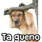 Ta gueno