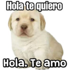 Hola. Te amo