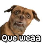 Que weaa