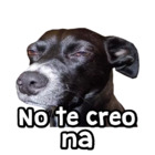 No te creo na