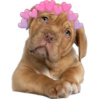 Sticker #935913