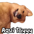 Aqui toyyy