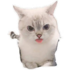 Sticker #961021