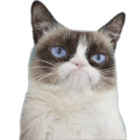 Sticker #962417