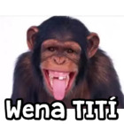 Wena TITÍ
