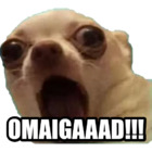 OMAIGAAAD!!!