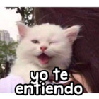 Yo te entiendo