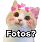 Fotos?