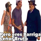 Pero eres Barriga señor Bruto