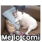 Me lo comi
