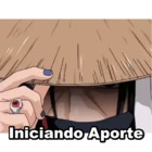 Iniciando Aporte