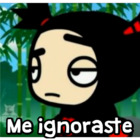 Me ignoraste