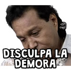 DISCULPA LA DEMORA