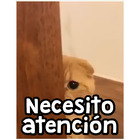 Necesito atención