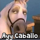 Ayy Caballo