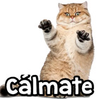 Cálmate