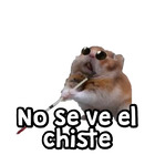 No se ve el chiste
