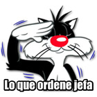 Lo que ordene jefa