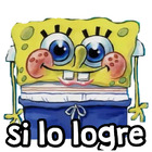 Si lo logre