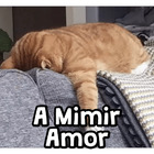 A Mimir Amor