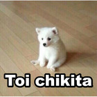 Toi chikita