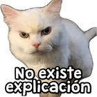 No existe explicación