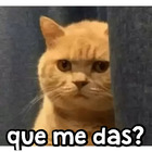 Que me das?
