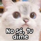 No sé, tu  dime