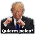 Quieres pelea?