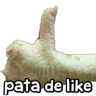 Pata de like