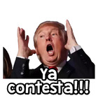 Ya contesta!!!