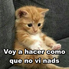 Voy a hacer como que no vi nads