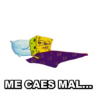 ME CAES MAL...