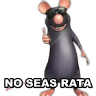 NO SEAS RATA