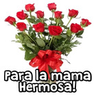 Para la mama Hermosa!