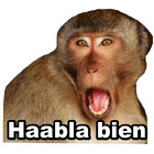 Haabla bien