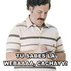 TU SABES LA WEBAAAA, CACHAYY!