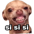 Si si si