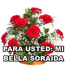 PARA USTED: MI BELLA SORAIDA