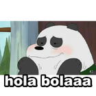 Hola bolaaa