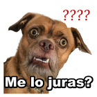 Me lo juras?