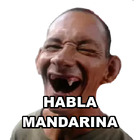 HABLA MANDARINA