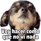 Voy a hacer como que no vi nada